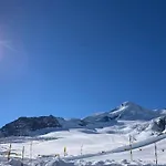 Appartamento Riverside Astoria 3-5 Parterre-whg By Interhome Saas-Fee